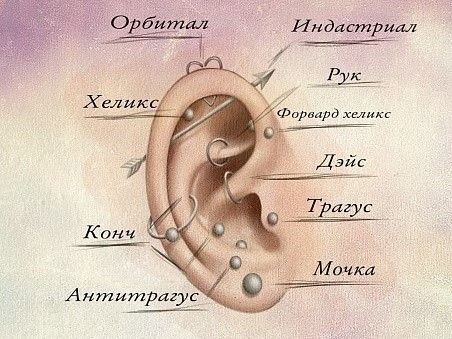 Пирсинг-салон | AURIS